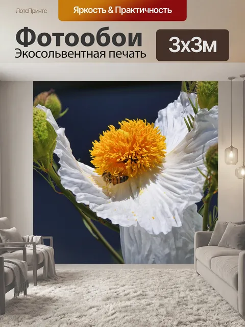Фотообои пчела на цветке мака