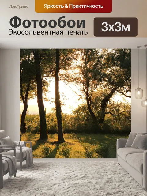 Фотообои Саншайн