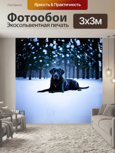 Фотообои черный лабрадор, лежащий на фоне снежного пейзажа, отдыхает в тишине зимнего дня