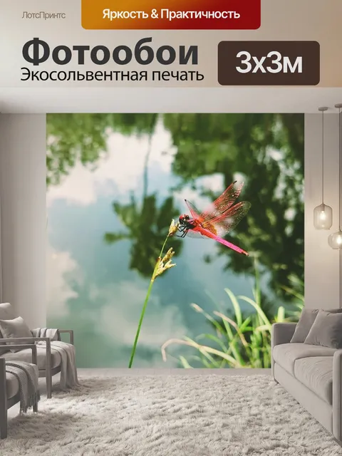 Фотообои Стрекоза