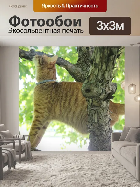 Фотообои Китти
