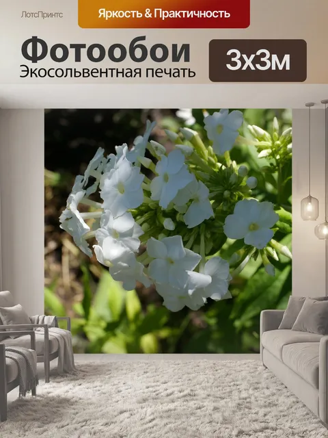 Фотообои Цветы