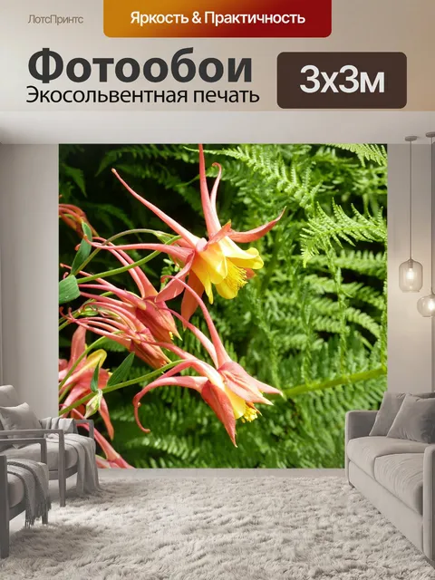 Фотообои Колумбия