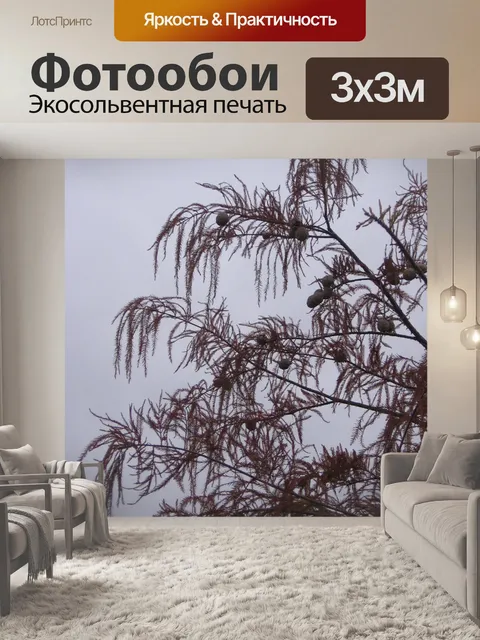 Фотообои Droopy Нат Три