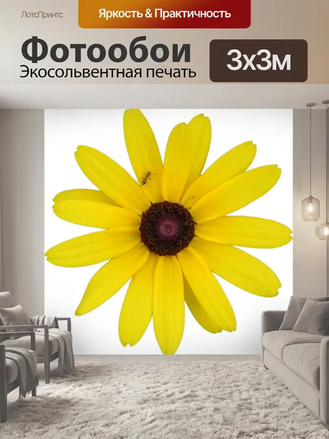 Фотообои Желтый цветок