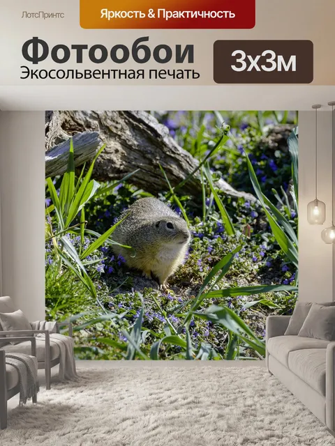 Фотообои Европейский