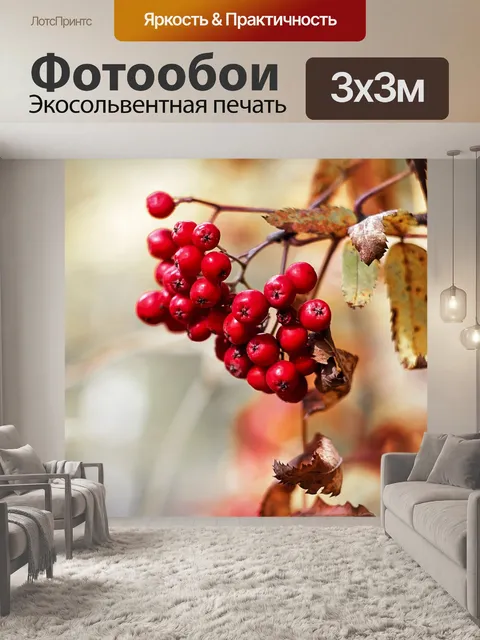 Фотообои Осень
