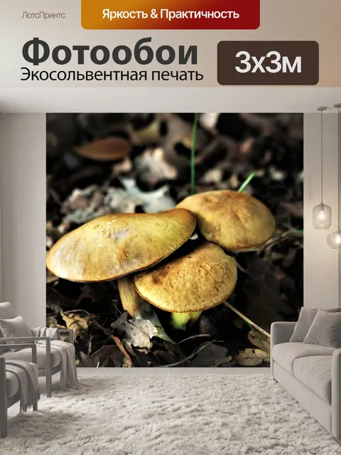 Фотообои Три золотых шампиньона