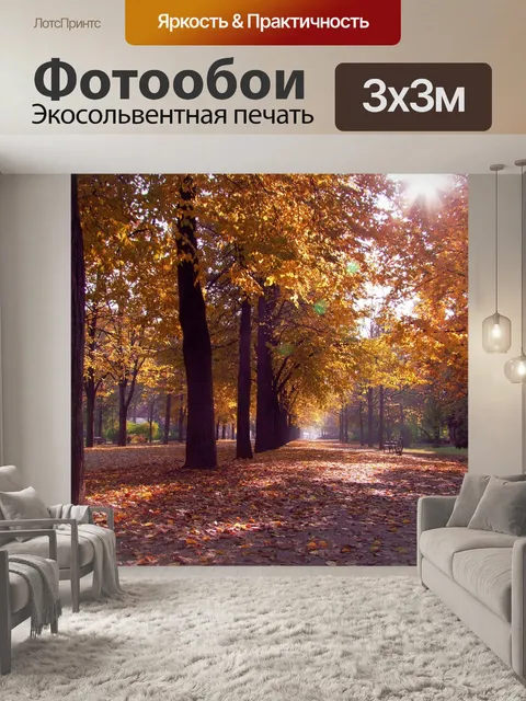 Фотообои Осенний лес аллея