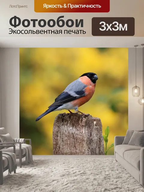 Фотообои Снегирь