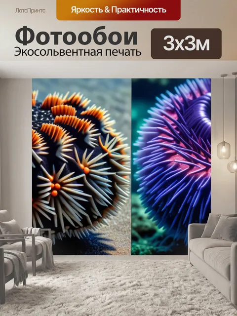 Фотообои сравнение морских ежей из разных океанов