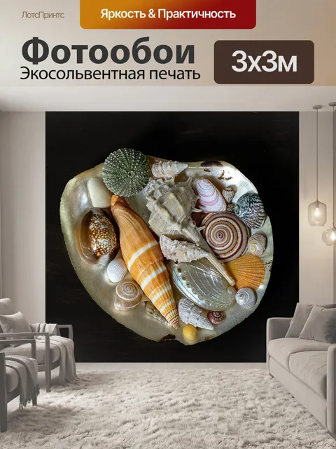 Фотообои Морские раковины