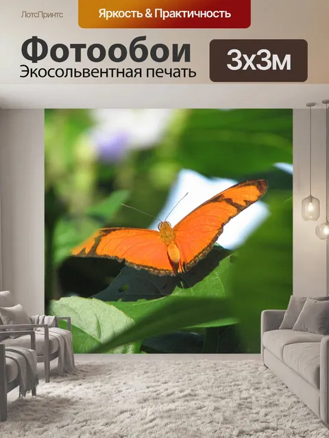 Фотообои Бабочка