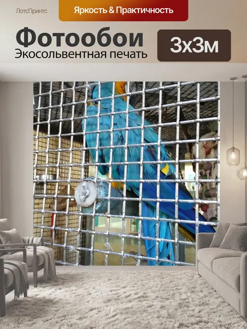 Фотообои Тюрьма