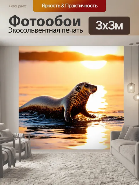 Фотообои тюлень, стремящийся к закату, который бросает золотые лучи на его покрытую росой шкуру