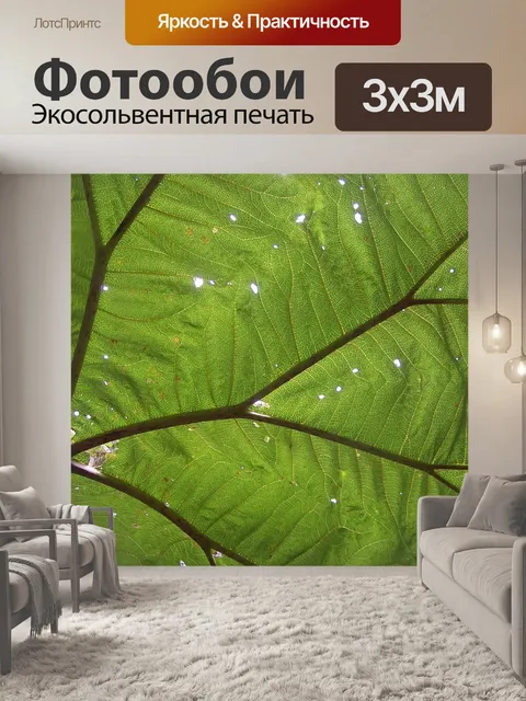 Фотообои Большой лист
