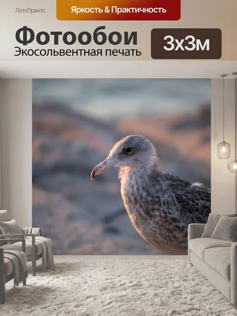Фотообои Птица