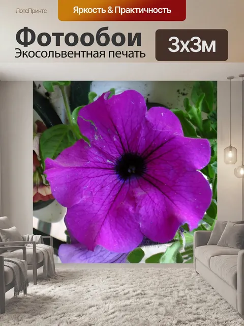 Фотообои Фиолетовый Петуния цветок