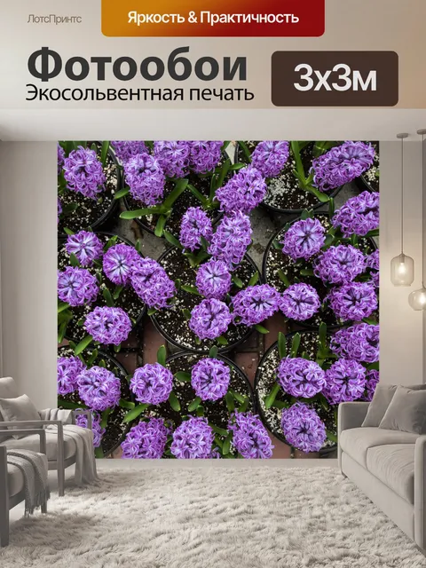 Фотообои гиацинт Цветы
