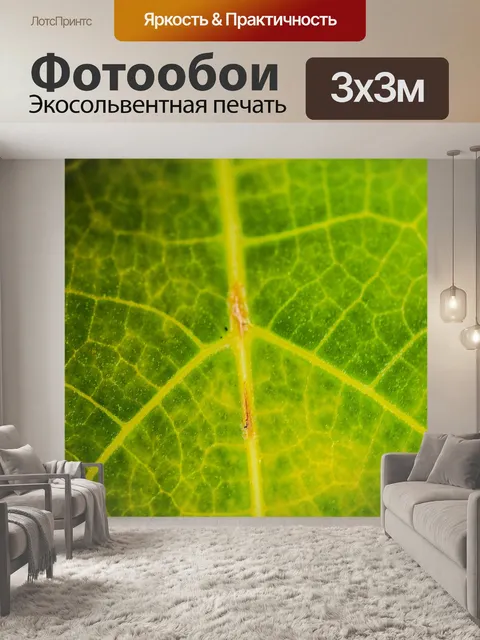 Фотообои Зеленый лист фон