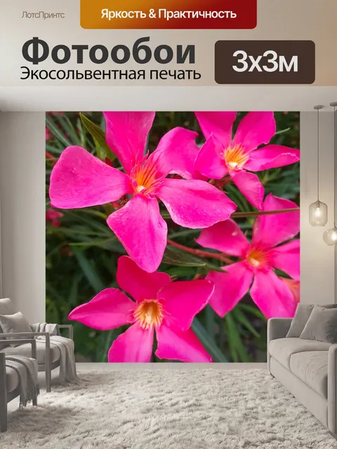 Фотообои Цветы олеандра