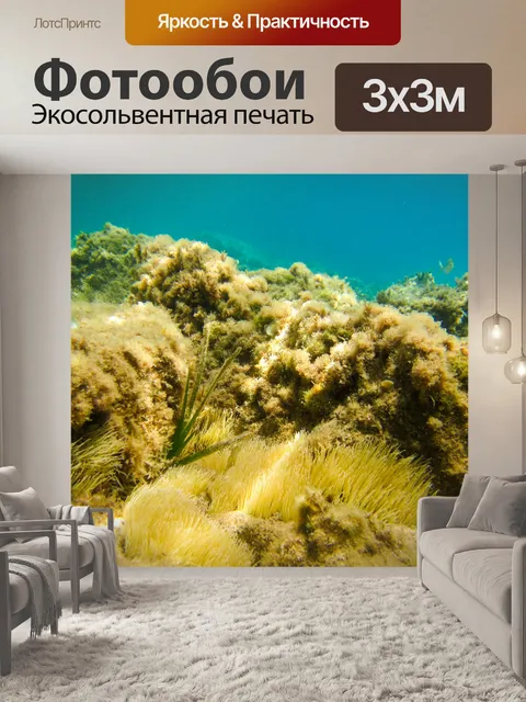 Фотообои Морскому дну под водой