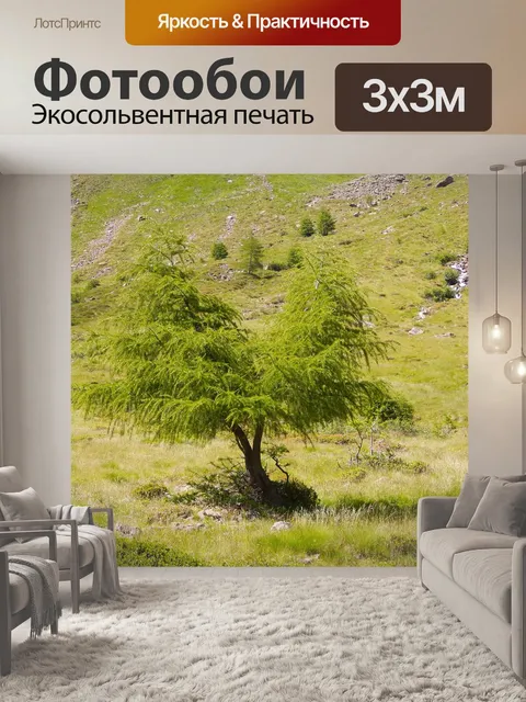 Фотообои Деревья