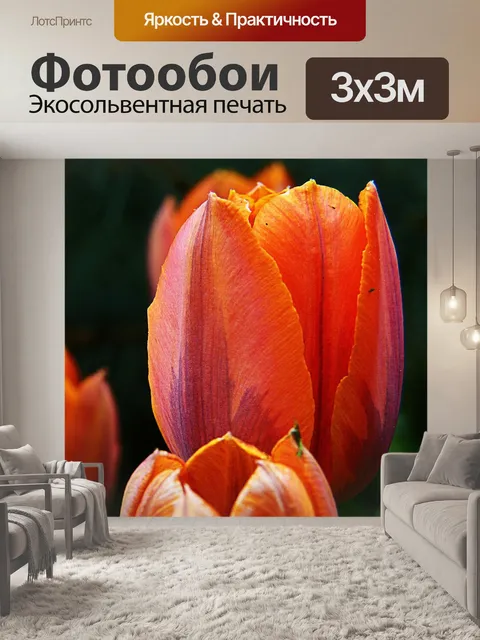 Фотообои Красный