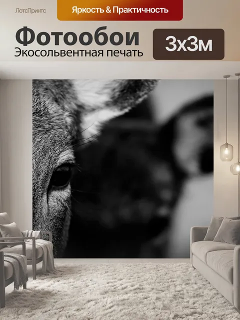 Фотообои Природа