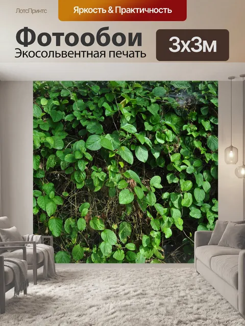 Фотообои Деревья и листья 8