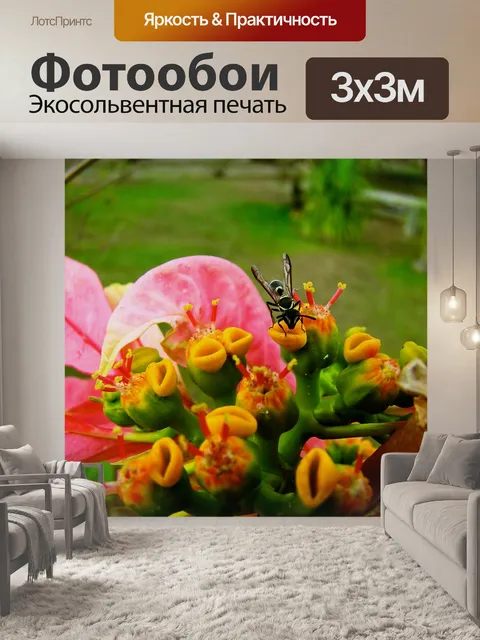 Фотообои Цвет