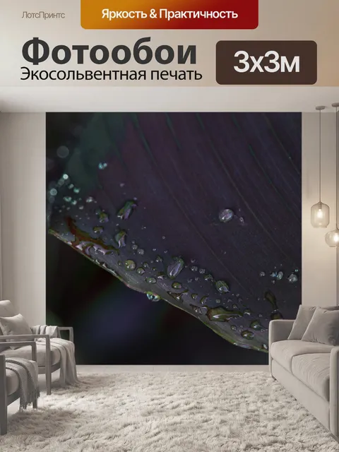 Фотообои Капли воды на фиолетовом листе