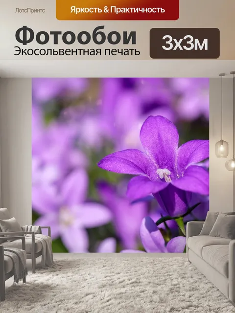 Фотообои Флокс
