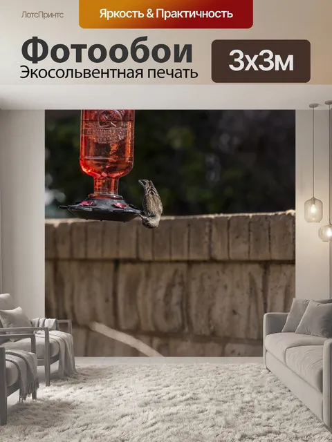 Фотообои Дом Финч на Фидере
