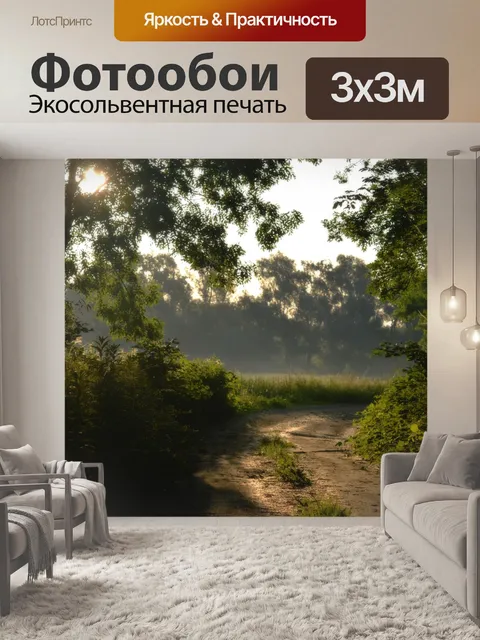 Фотообои Утро в лесу
