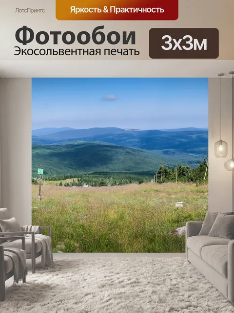 Фотообои Вид
