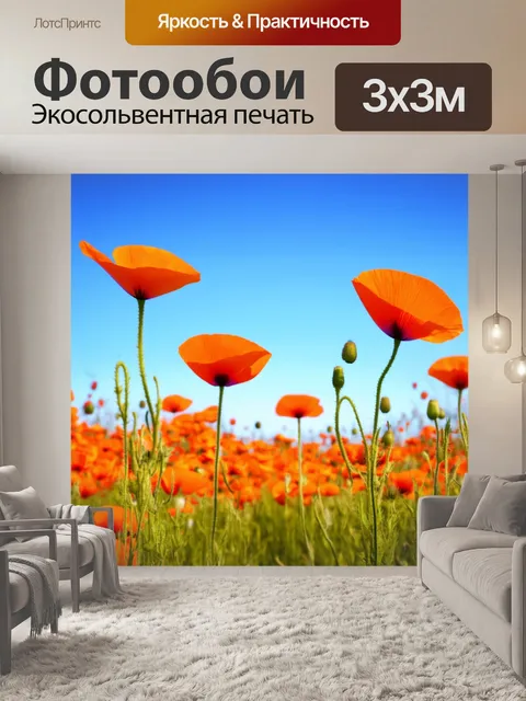 Фотообои оранжевый цвет: поля с оранжевыми маковыми цветами, колеблющимися на легком ветру