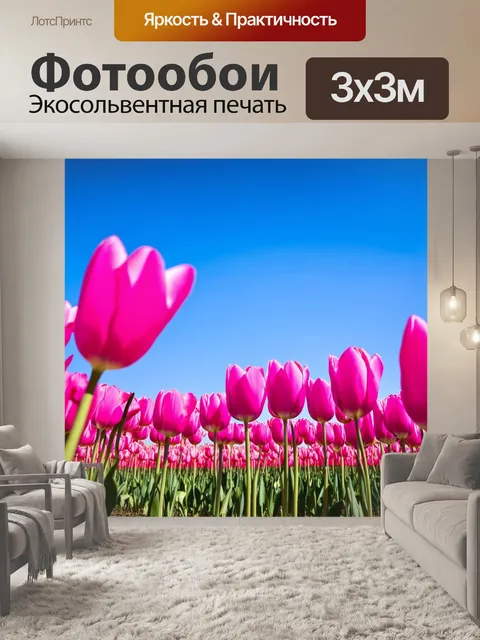 Фотообои поле розовых тюльпанов под голубым небом
