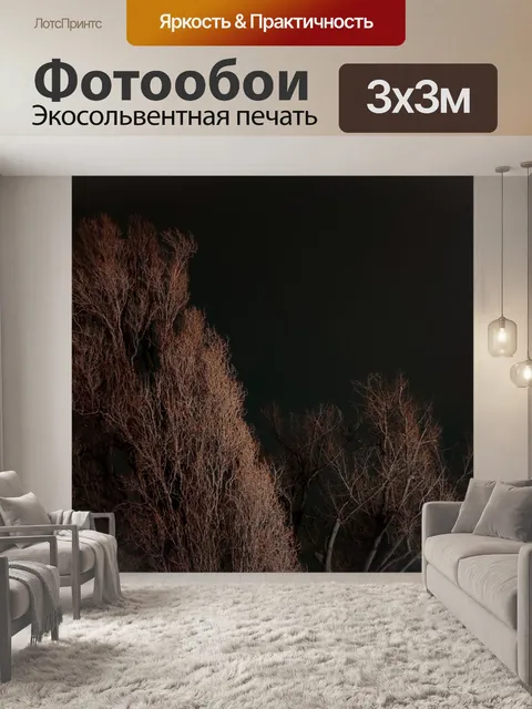 Фотообои Деревья