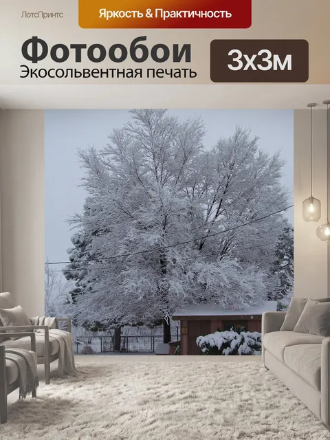 Фотообои Редкий Метель в Моав