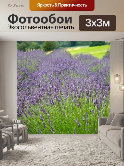Фотообои Лаванда поле
