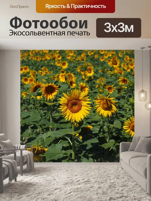 Фотообои Подсолнухи