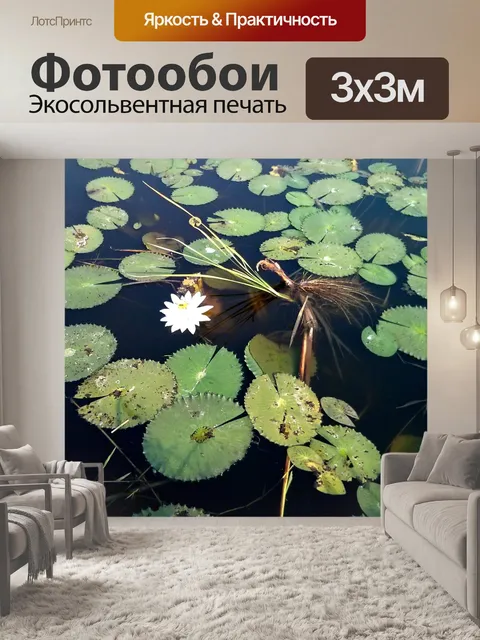 Фотообои Бурунди