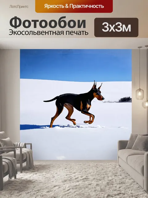 Фотообои на фоне снежных пейзажей доберман резво скачет по заснеженной равнине, его движения грациозны и мощны