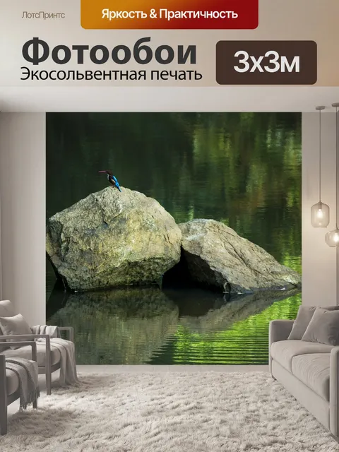 Фотообои Птица