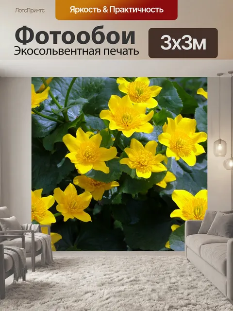 Фотообои Желтые цветы с темно-зелеными
