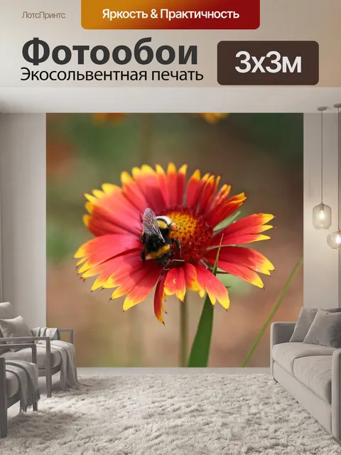 Фотообои Огненное колесо