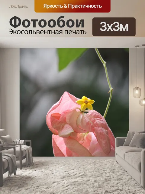 Фотообои Лес