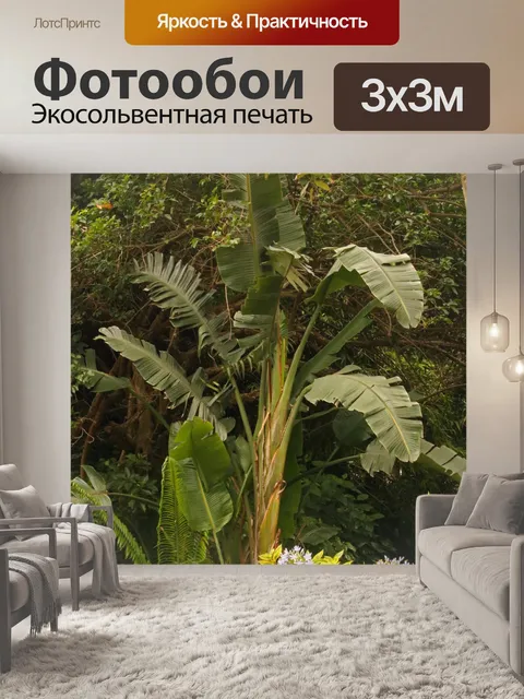 Фотообои высокое банановое дерево
