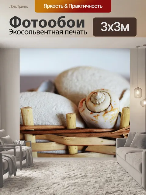 Фотообои Моллюски